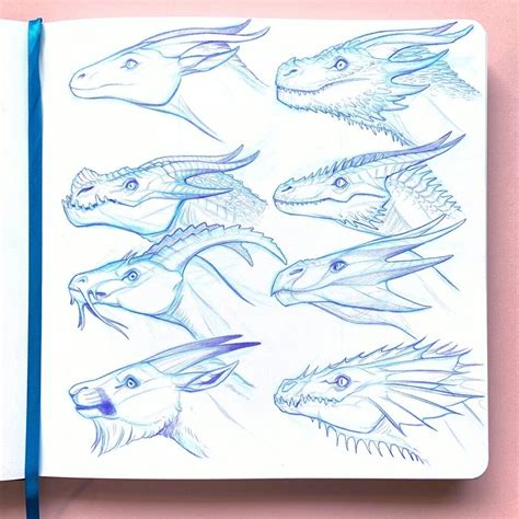 dragon sketch reference